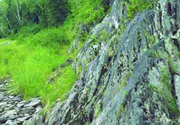 ledges_crop