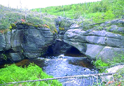 otterbrookimage_crop