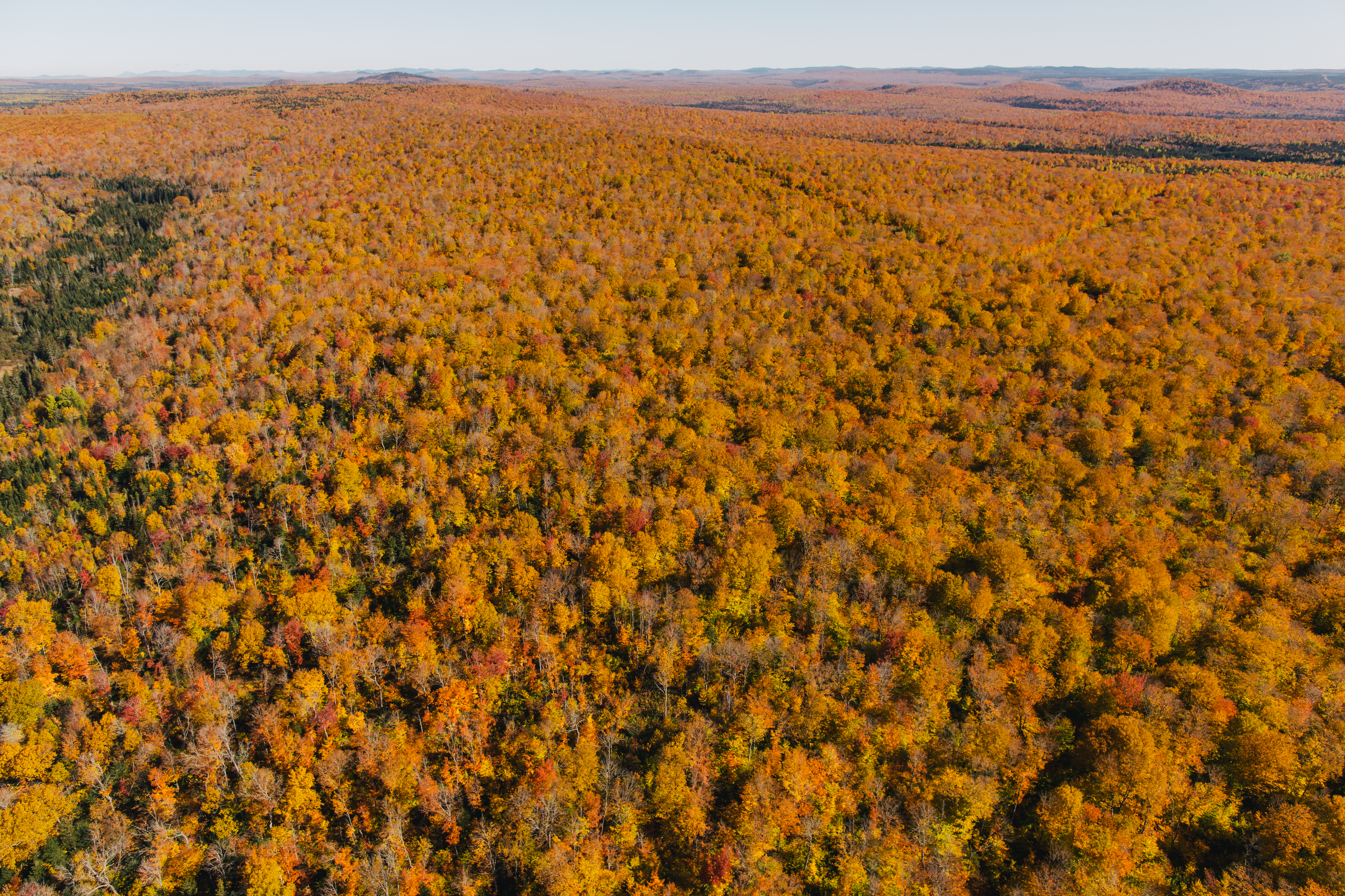 Fall_Colours_2 Fall_Colours_2